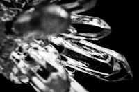 a black and white photo of a crystal flower